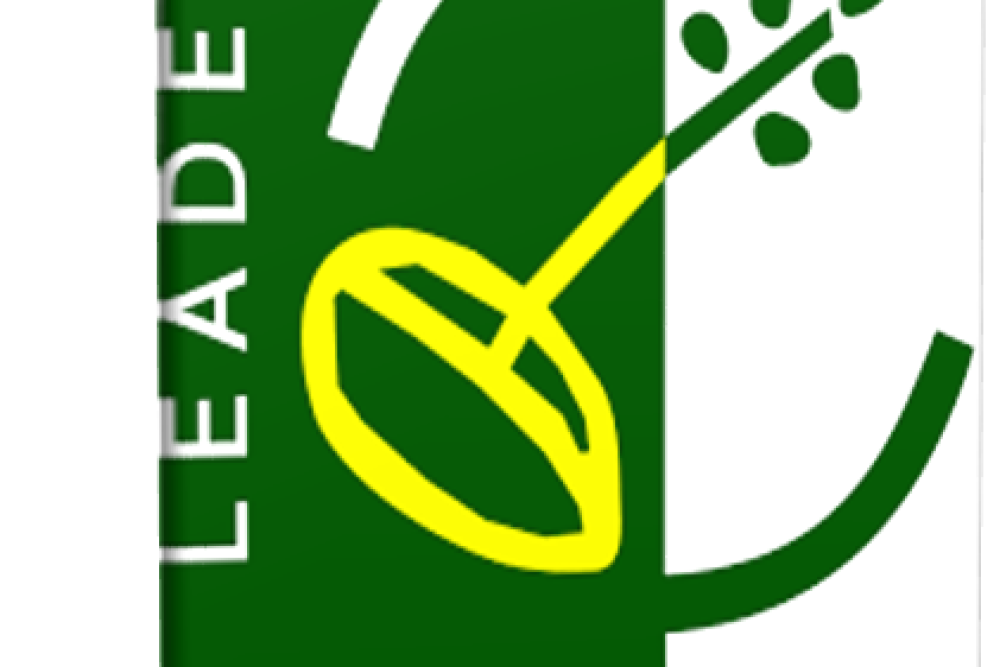 Türkiye'de Leader